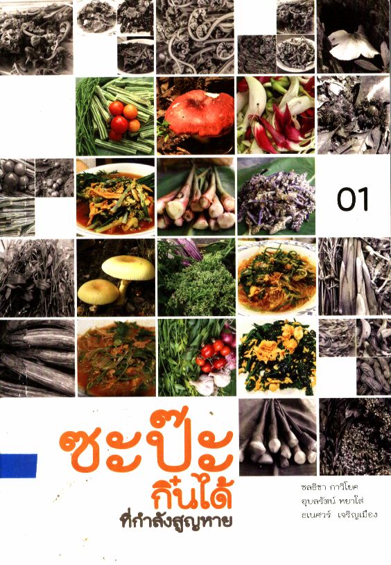 ซะป๊ะกิ๋นได้ที่กำลังสูญหาย